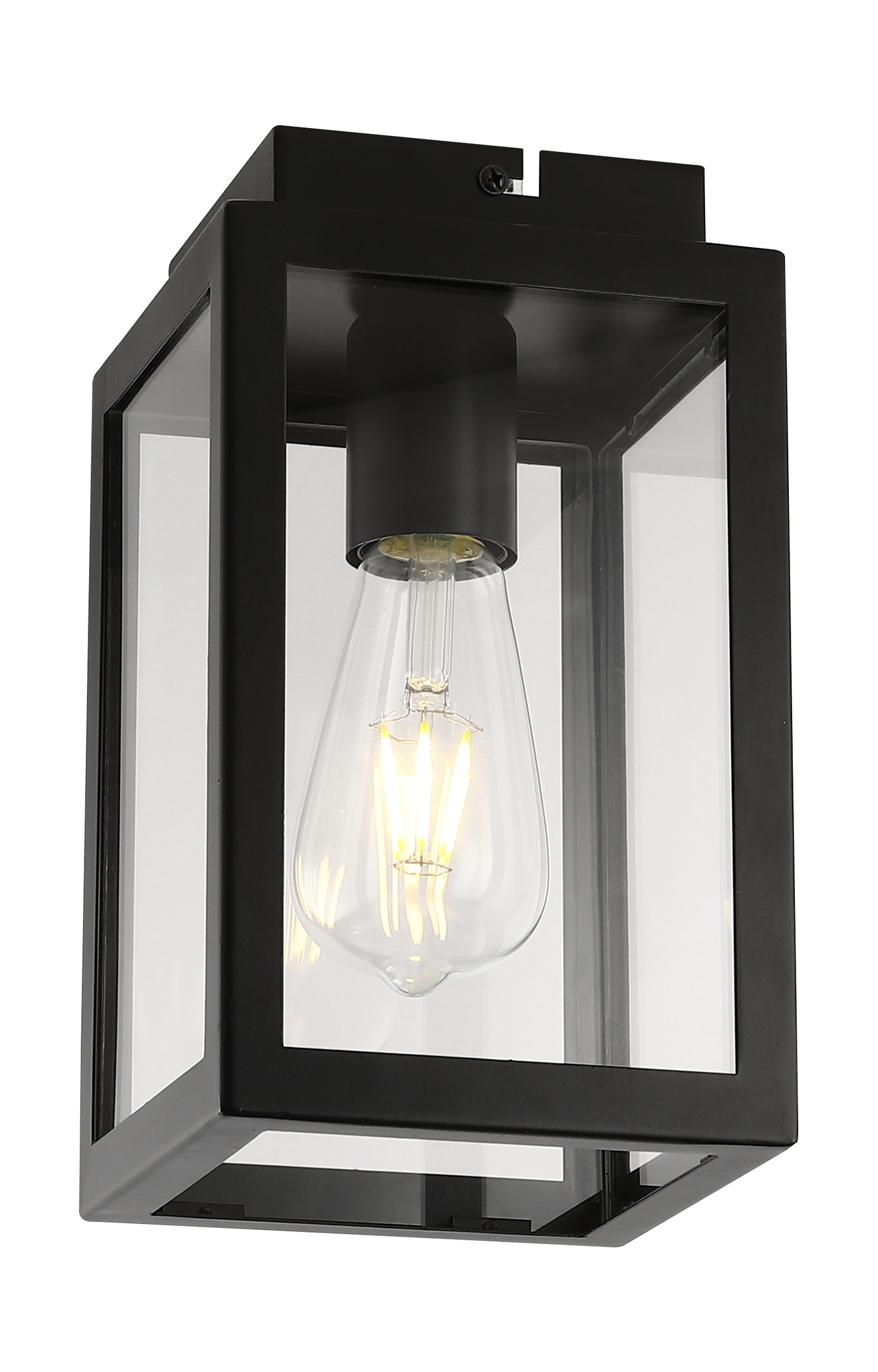Porch Ceiling Light Black with Clear Glass 1xE27/ES Bulb Cap (Bulb not Included)